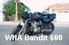 Wild Hair Bandit 600